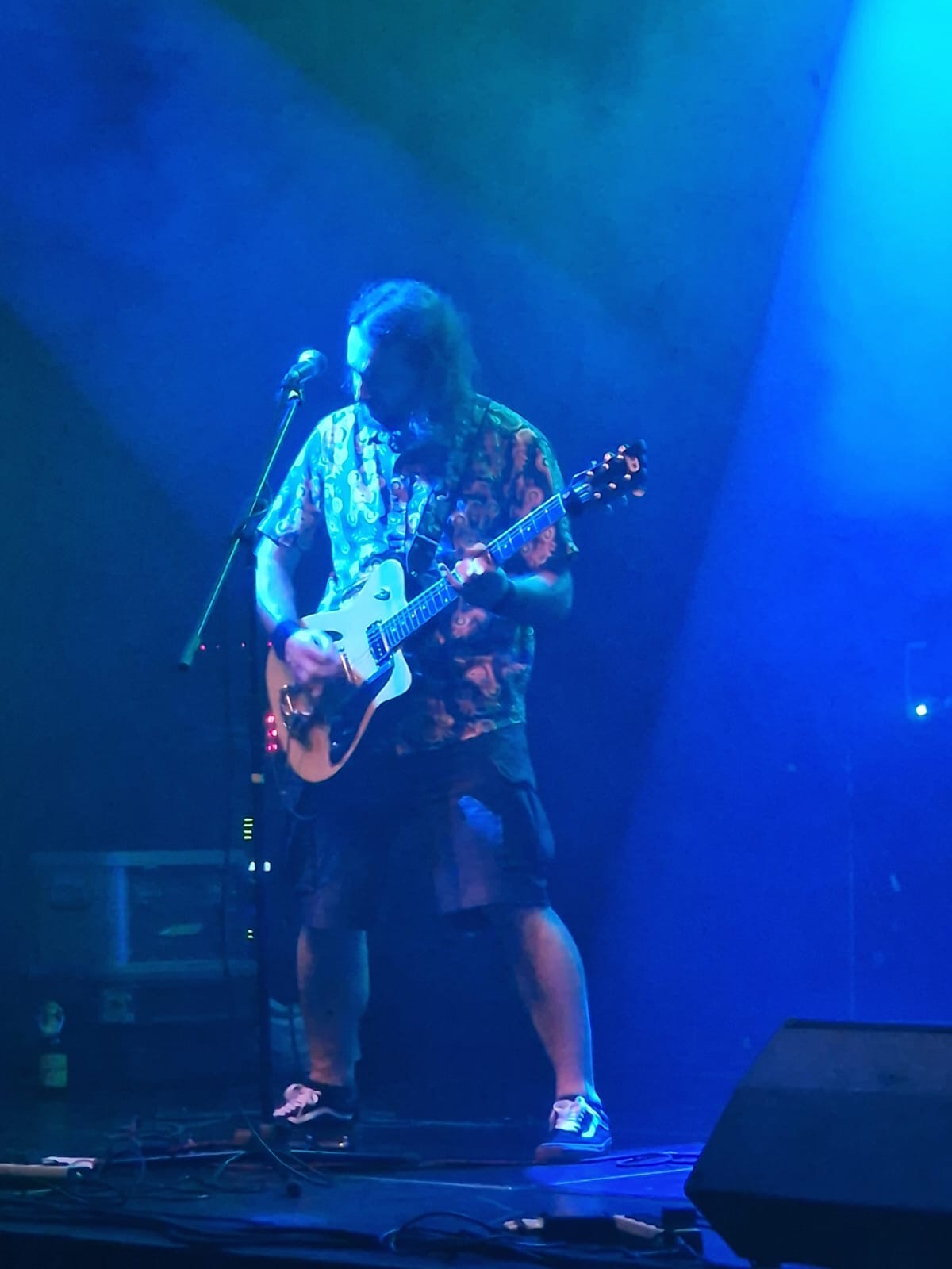 Mensch oder Tier — Klaus — Gitarre